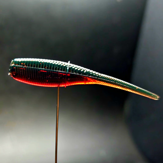 Jar of 2" Baby Shad "The Needlebutt Shad"
