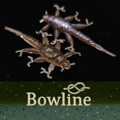 Jar of 1.5" Inch Stonefly Larvae "The Morelkin"